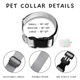 Batch #486 - Pet Gear Collection - Closes 2/6 - ETA early April - Bold Tie Dye Collar